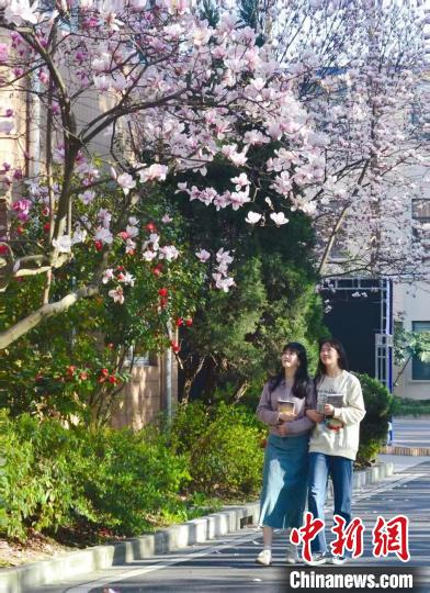 春日的华东理工大学校园。华东理工大学供图 春日的华东理工大学校园。华东理工大学供图